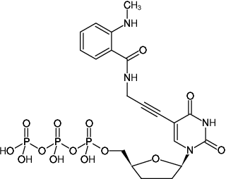 Structural formula of 5-Propargylamino-ddUTP-MANT (5-Propargylamino-2',3'-dideoxyuridine-5'-triphosphate, labeled with MANT, Triethylammonium salt)