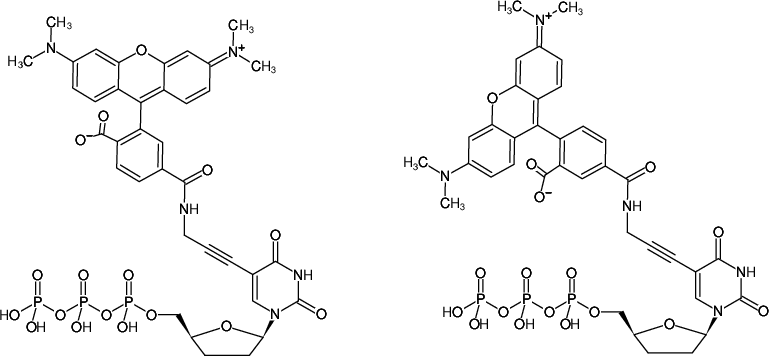 Structural formula of 5-Propargylamino-ddUTP-5/6-TAMRA (5-Propargylamino-2',3'-dideoxyuridine-5'-triphosphate, labeled with 5/6-TAMRA, Triethylammonium salt)