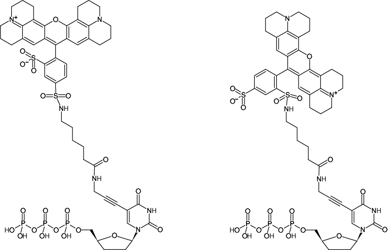 Structural formula of 5-Propargylamino-ddUTP-Texas Red (5-Propargylamino-2',3'-dideoxyuridine-5'-triphosphate, labeled with Texas Red, Triethylammonium salt)