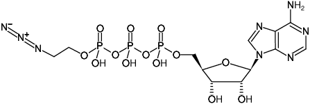 Structural formula of γ-(2-Azidoethyl)-ATP (γ-(2-Azidoethyl)-adenosine-5'-triphosphate, Sodium salt)