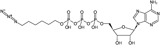 Structural formula of γ-(6-Azidohexyl)-ATP (γ-(6-Azidohexyl)-adenosine-5'-triphosphate, Sodium salt)