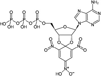 Structural formula of TNP-ATP (2',3'-O-Trinitrophenyl-adenosine-5'-triphosphate, Triethylammonium salt)