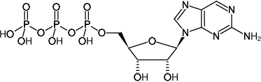 Structural formula of 2-Aminopurine-riboside-5'-triphosphate (2-Aminopurine-riboside-5'-triphosphate, Sodium salt)