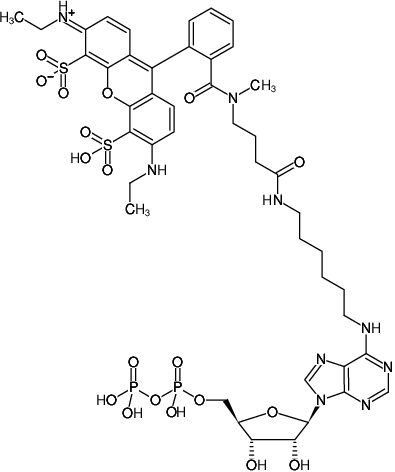 Structural formula of N6-(6-Aminohexyl)-ADP-ATTO-532 (N6-(6-Aminohexyl)-adenosine-5'-diphosphate, labeled with ATTO 532, Triethylammonium salt)