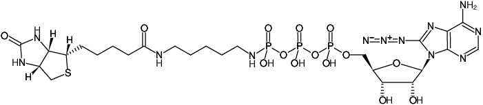 Structural formula of 8-Azido-ATP-γ-Biotin (8-N3-ATP[γ]biotinpentylamine, Sodium salt)