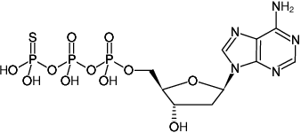 Structural formula of dATPγS (2'-Deoxyadenosine-5'-(γ-thio)-triphosphate, Lithium salt)