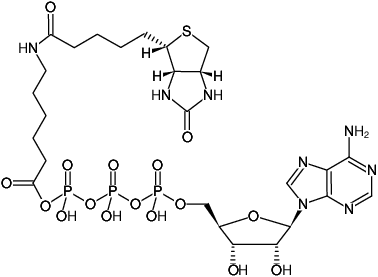 Structural formula of ATP-acetyl-hex-Biotin (Biotin-ATP probe, Tri(triethylammonium) salt)