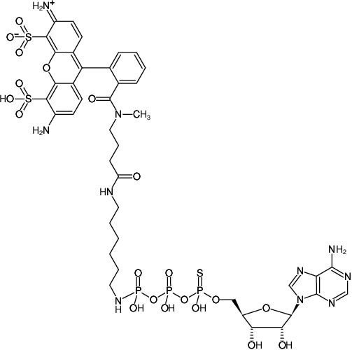 Structural formula of γ-[(6-Aminohexyl)-imido]-ATPαS-ATTO-488 (γ-[(6-Aminohexyl)-imido]-adenosine-5'-(α-thio)-triphosphate, labeled with ATTO-488, Triethylammonium salt)