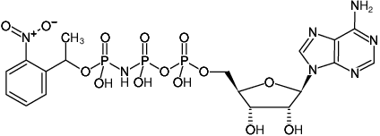 Structural formula of NPE-caged-AppNHp ((NPE-caged-AMPPNP), Adenosine-5'-[( β,γ )-imido]triphosphate, P3-(1-(2-nitrophenyl)-ethyl)-ester, Triethylammonium salt)