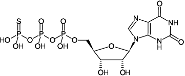 Structural formula of XTPγS (Xanthosine-5'-(γ-thio)-triphosphate, Sodium salt)