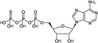 Structural formula of ATPγS (Adenosine-5'-(γ-thio)-triphosphate, Tetralithium salt)