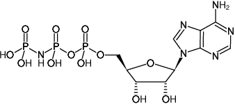 Structural formula of AppNHp ((AMPPNP), Adenosine-5'-[(β,γ)-imido]triphosphate, Tetralithium salt)