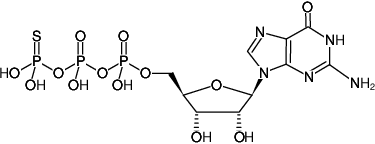 Structural formula of GTPγS (Guanosine-5'-(γ-thio)-triphosphate, Tetralithium salt)