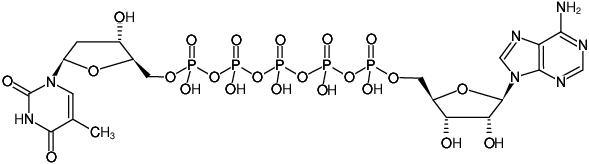 Structural formula of AP5dT (P1-(5'-Adenosyl) P5-[5'-(2'-deoxy-thymidyl)] pentaphosphate, Triethylammonium salt)