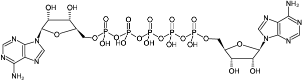 Structural formula of AP5A (P1-(5'-Adenosyl) P5-(5'-adenosyl) pentaphosphate, Sodium salt)