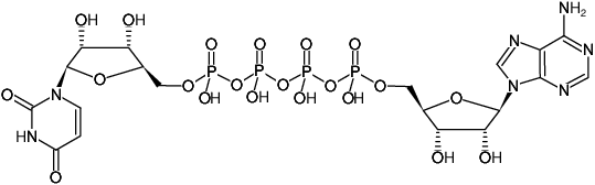 Structural formula of AP4U (P1-(5'-Adenosyl) P4-(5'-uridyl) tetraphosphate, Sodium salt)