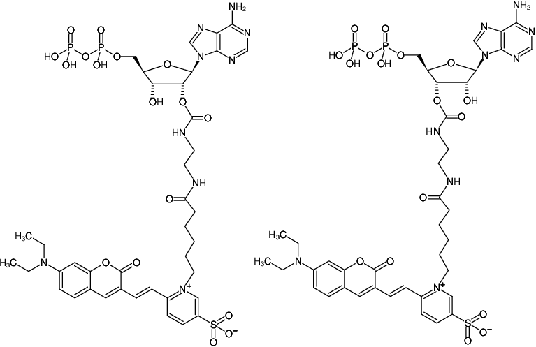 Structural formula of EDA-ADP-DY-480XL (2'/3'-O-(2-Aminoethyl-carbamoyl)-Adenosine-5'-diphosphate, labeled with DY 480XL, Triethylammonium salt)