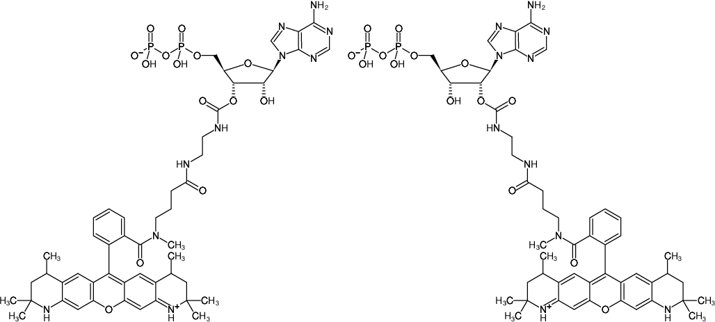 Structural formula of EDA-GTP-ATTO-550 (2'/3'-O-(2-Aminoethyl-carbamoyl)-Guanosine-5'-triphosphate, labeled with ATTO 550, Triethylammonium salt)