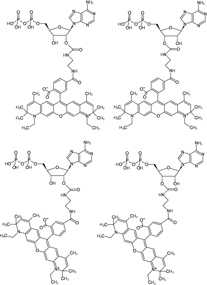 Structural formula of EDA-ADP-ATTO-590 (2'/3'-O-(2-Aminoethyl-carbamoyl)-Adenosine-5'-diphosphate, labeled with ATTO 590, Triethylammonium salt)