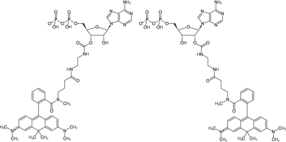 Structural formula of EDA-ADP-ATTO-620 (2'/3'-O-(2-Aminoethyl-carbamoyl)-Adenosine-5'-diphosphate, labeled with ATTO 620, Triethylammonium salt)