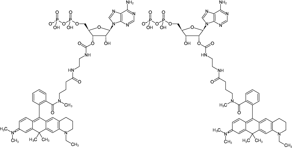 Structural formula of EDA-ADP-ATTO-633 (2'/3'-O-(2-Aminoethyl-carbamoyl)-Adenosine-5'-diphosphate, labeled with ATTO 633, Triethylammonium salt)