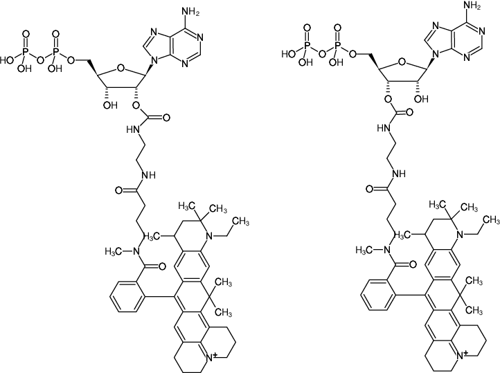 Structural formula of EDA-ADP-ATTO-647N (2'/3'-O-(2-Aminoethyl-carbamoyl)-Adenosine-5'-diphosphate, labeled with ATTO 647N, Triethylammonium salt)