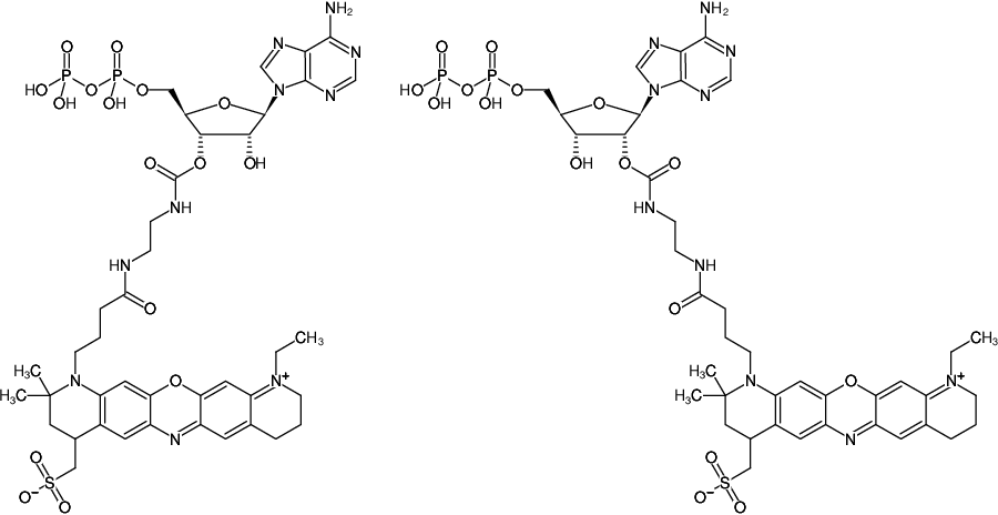 Structural formula of EDA-ADP-ATTO-655 (2'/3'-O-(2-Aminoethyl-carbamoyl)-Adenosine-5'-diphosphate, labeled with ATTO 655, Triethylammonium salt)