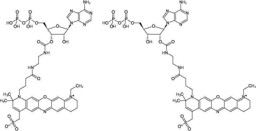 Structural formula of EDA-ADP-ATTO-680 (2'/3'-O-(2-Aminoethyl-carbamoyl)-Adenosine-5'-diphosphate, labeled with ATTO 680, Triethylammonium salt)