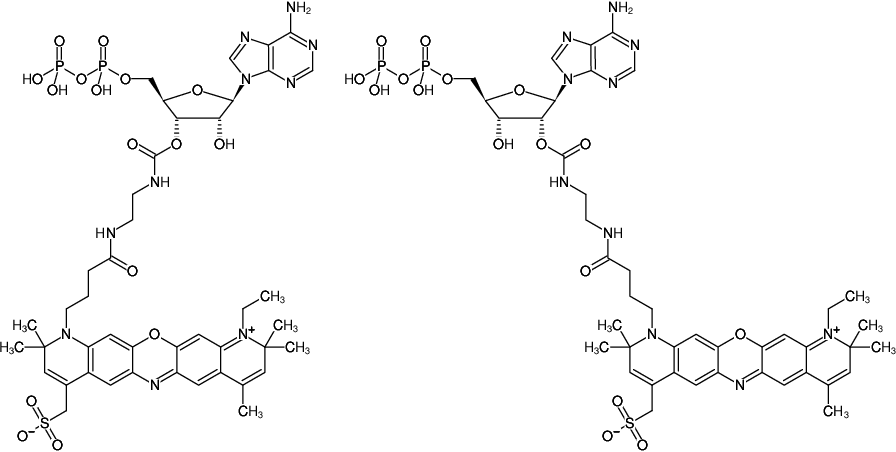 Structural formula of EDA-ADP-ATTO-700 (2'/3'-O-(2-Aminoethyl-carbamoyl)-Adenosine-5'-diphosphate, labeled with ATTO 700, Triethylammonium salt)