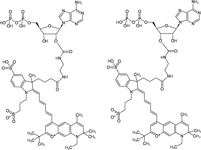 Structural formula of EDA-ADP-DY-751 (2'/3'-O-(2-Aminoethyl-carbamoyl)-Adenosine-5'-diphosphate, labeled with DY 751, Triethylammonium salt)