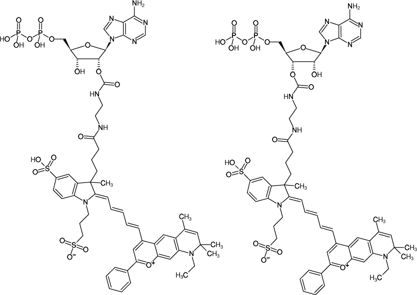 Structural formula of EDA-ADP-DY-776 (2'/3'-O-(2-Aminoethyl-carbamoyl)-Adenosine-5'-diphosphate, labeled with DY 776, Triethylammonium salt)