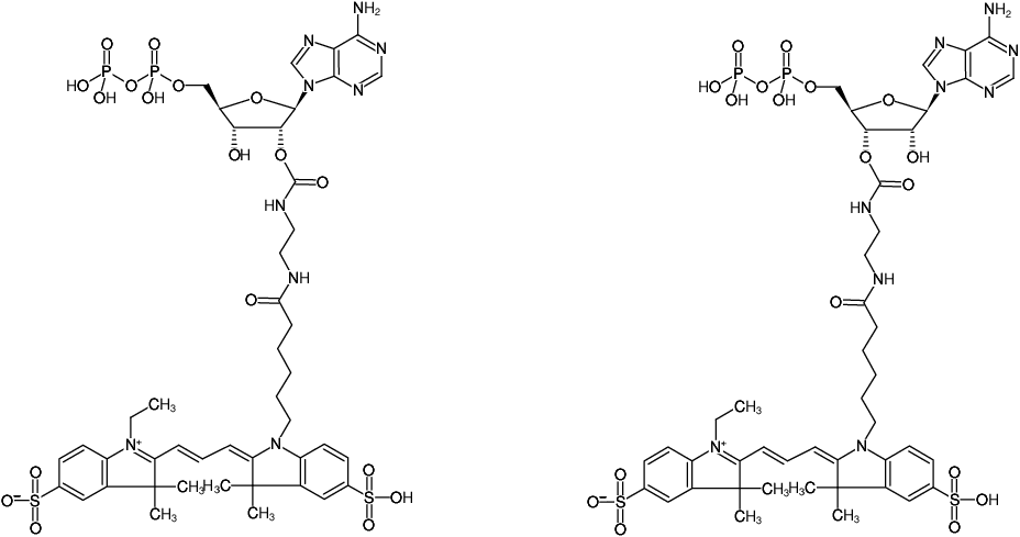 Structural formula of EDA-ADP-Cy3 (2'/3'-O-(2-Aminoethyl-carbamoyl)-Adenosine-5'-diphosphate, labeled with Cy3, Triethylammonium salt)