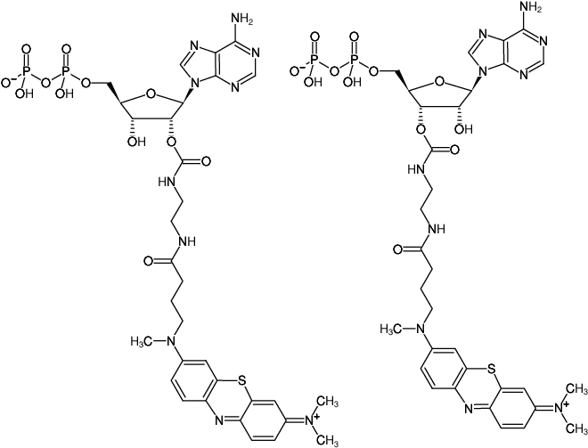 Structural formula of EDA-ADP-ATTO-MB2 (2'/3'-O-(2-Aminoethyl-carbamoyl)-Adenosine-5'-diphosphate, labeled with ATTO-MB2, Triethylammonium salt)