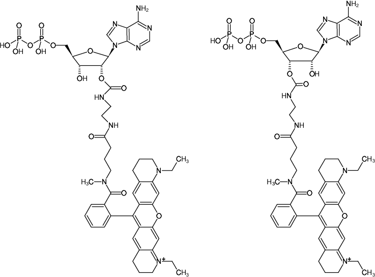 Structural formula of EDA-ADP-ATTO-Rho11 (2'/3'-O-(2-Aminoethyl-carbamoyl)-Adenosine-5'-diphosphate, labeled with ATTO Rho11, Triethylammonium salt)