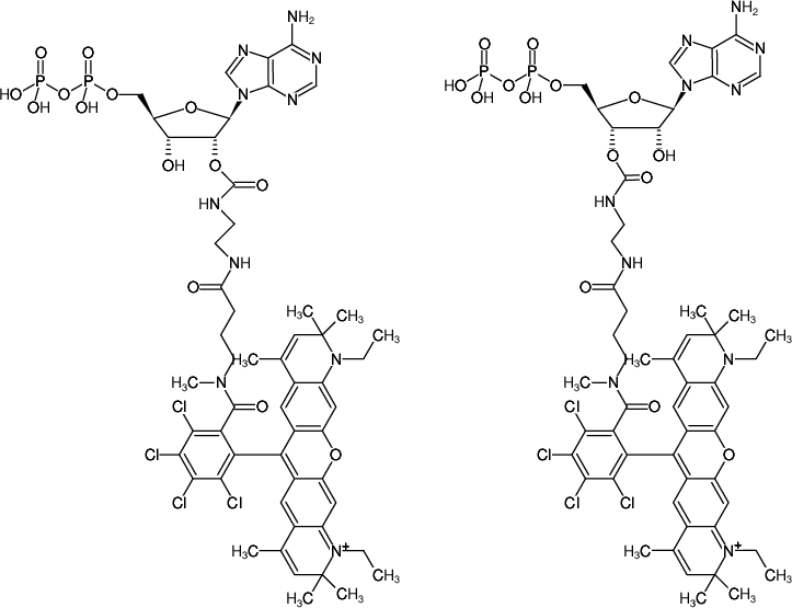 Structural formula of EDA-ADP-ATTO-Rho14 (2'/3'-O-(2-Aminoethyl-carbamoyl)-Adenosine-5'-diphosphate, labeled with ATTO Rho14, Triethylammonium salt)