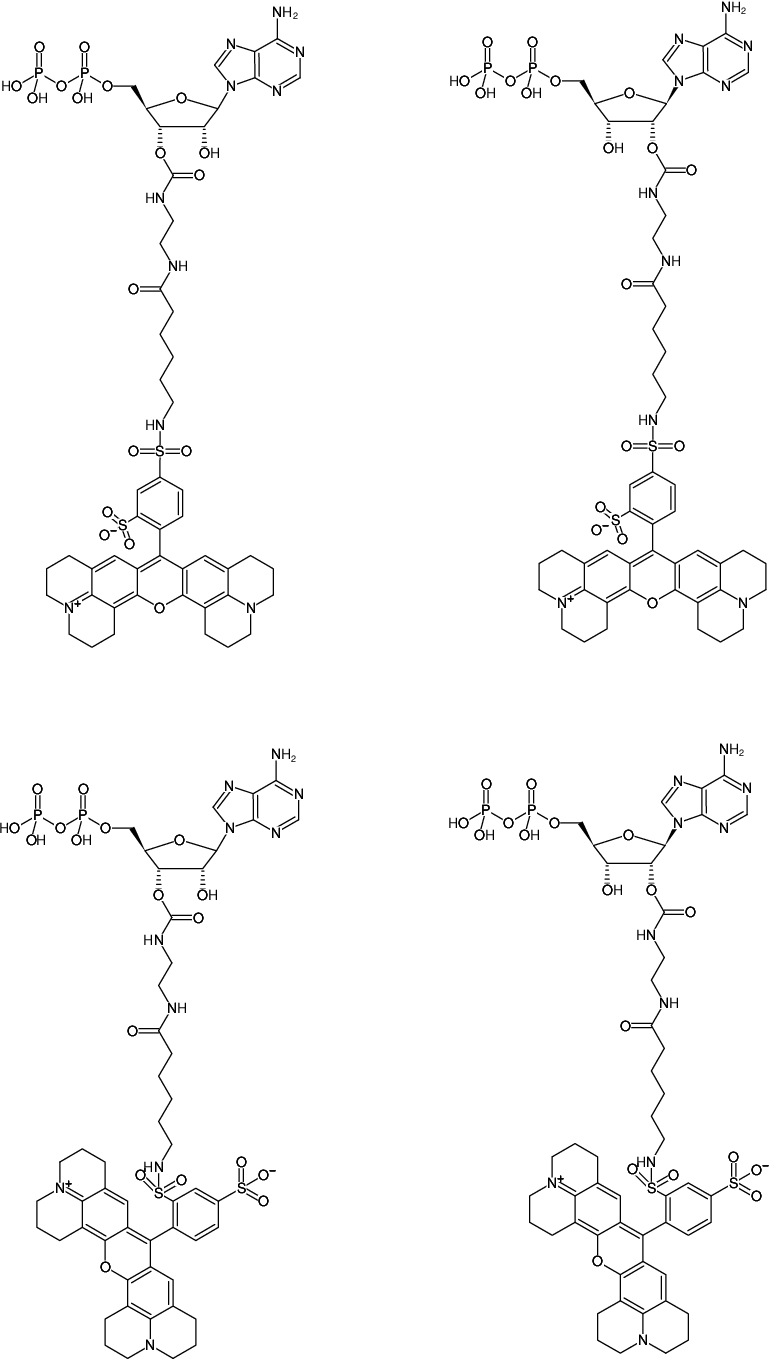 Structural formula of EDA-ADP-Texas Red (2'/3'-O-(2-Aminoethyl-carbamoyl)-Adenosine-5'-diphosphate, labeled with Texas Red, Triethylammonium salt)