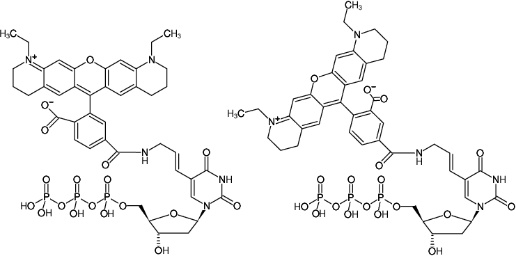 Structural formula of Aminoallyl-dUTP-ATTO-565 (5-(3-Aminoallyl)-2'-deoxyuridine-5'-triphosphate, labeled with ATTO 565, Triethylammonium salt)