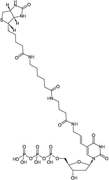 Structural formula of HighFidelity Biotin16 PCR Labeling Kit (Preparation of Biotin16-labeled DNA probes by PCR)