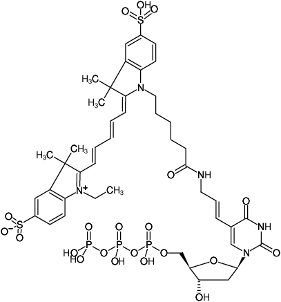 Structural formula of HighFidelity Cy5 PCR Labeling Kit (Preparation of Cy5-labeled DNA probes by PCR)