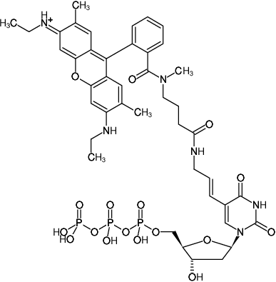 Structural formula of Aminoallyl-dUTP-ATTO-Rho6G (5-(3-Aminoallyl)-2'-deoxyuridine-5'-triphosphate, labeled with ATTO Rho6G, Triethylammonium salt)