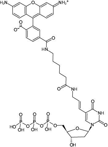 Structural formula of Rhodamine-12-dUTP (Rhodamine-X-(5-aminoallyl)-dUTP, 5/6-Rhodamine-X-(5-aminoallyl)-2'-deoxyuridine-5'-triphosphate, Triethylammonium salt)