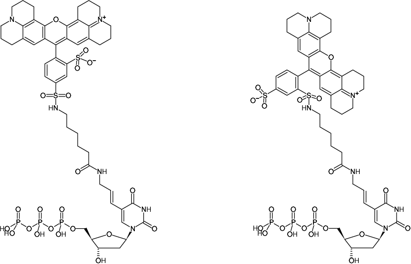 Structural formula of Aminoallyl-dUTP-Texas Red (TexasRed-12-dUTP)