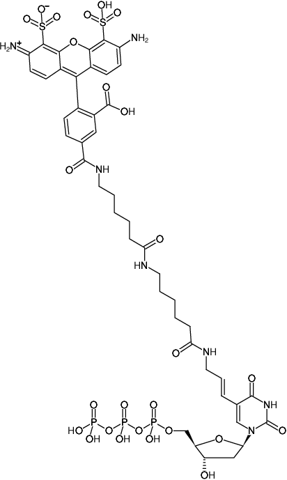 Structural formula of HighFidelity AF488 PCR Labeling Kit (Preparation of AF488-labeled DNA probes by PCR)