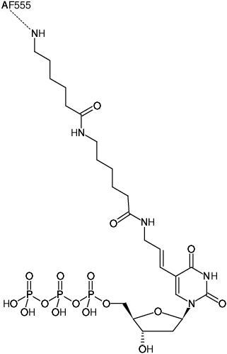 Structural formula of HighFidelity AF555 PCR Labeling Kit (Preparation of AF555-labeled DNA probes by PCR)