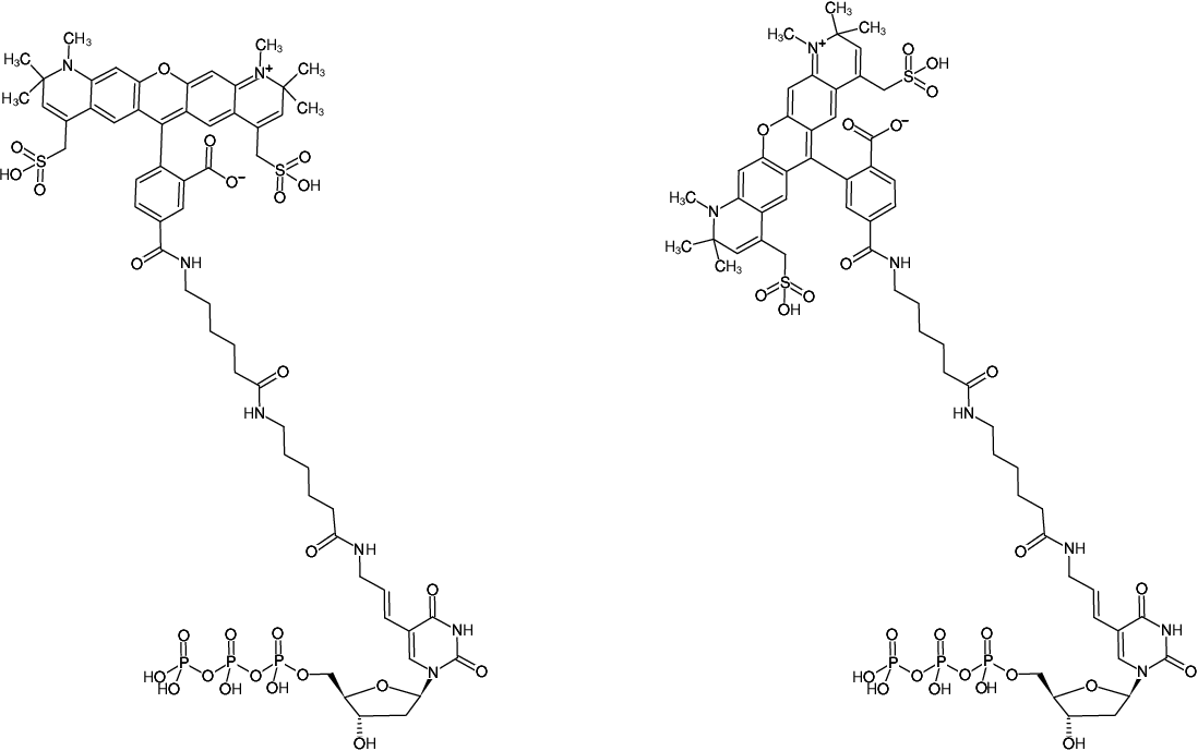 Structural formula of HighFidelity AF594 PCR Labeling Kit (Preparation of AF594-labeled DNA probes by PCR)