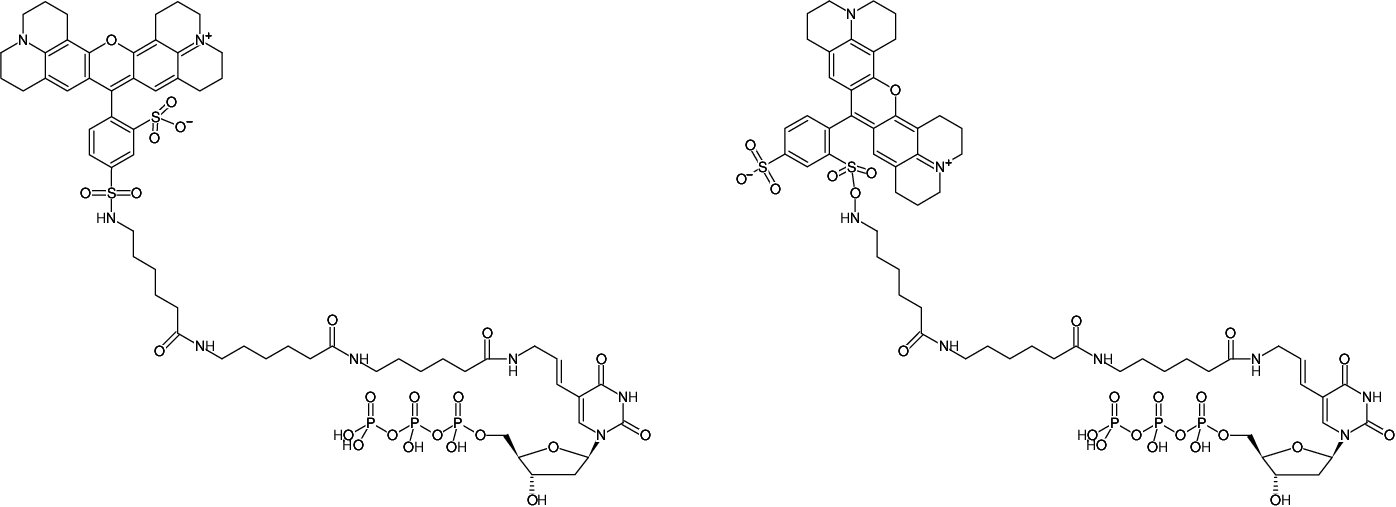 Structural formula of Aminoallyl-dUTP-XX-Texas Red (5-(3-Aminoallyl)-2'-deoxyuridine-5'-triphosphate, labeled with Texas Red, Triethylammonium salt)