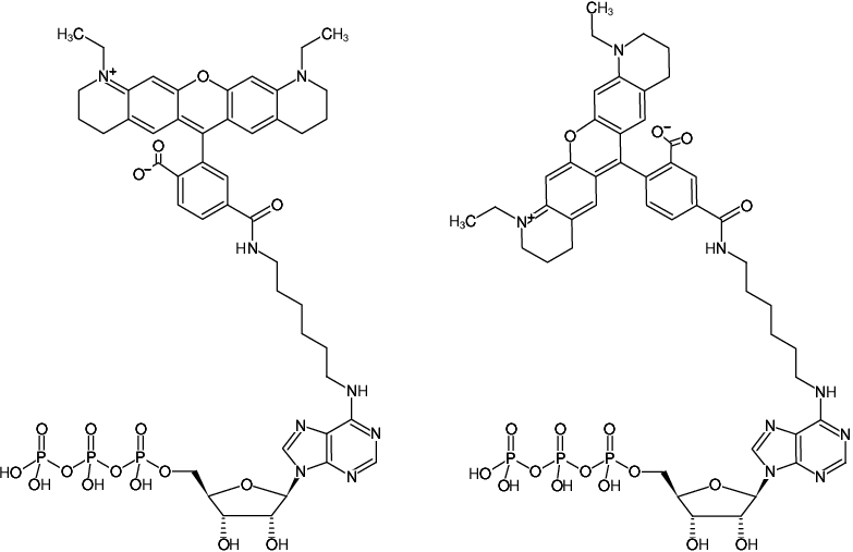 Structural formula of N6-(6-Aminohexyl)-ATP-ATTO-565 (N6-(6-Aminohexyl)-adenosine-5'-triphosphate, labeled with ATTO 565, Triethylammonium salt)