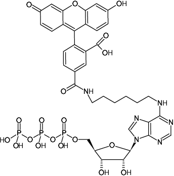 Structural formula of N6-(6-Aminohexyl)-ATP-5-FAM (N6-(6-Aminohexyl)-adenosine-5'-triphosphate, labeled with 5 FAM, Triethylammonium salt)