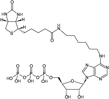 Structural formula of N6-(6-Aminohexyl)-ATP-Biotin (N6-(6-Aminohexyl)-adenosine-5'-triphosphate-Biotin, Triethylammonium salt)