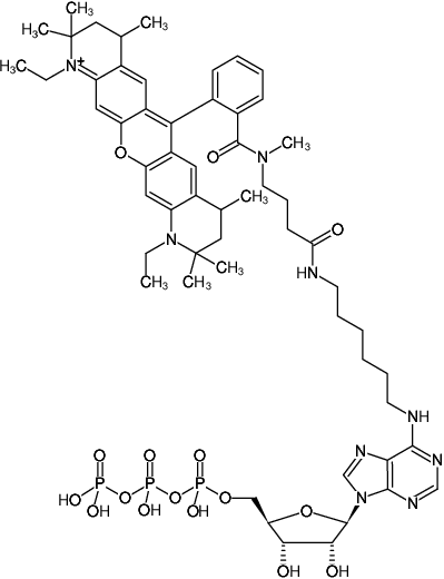 Structural formula of N6-(6-Aminohexyl)-ATP-ATTO-Rho12 (N6-(6-Aminohexyl)-adenosine-5'-triphosphate, labeled with ATTO Rho12, Triethylammonium salt)